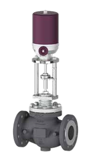 Globe Control Valves